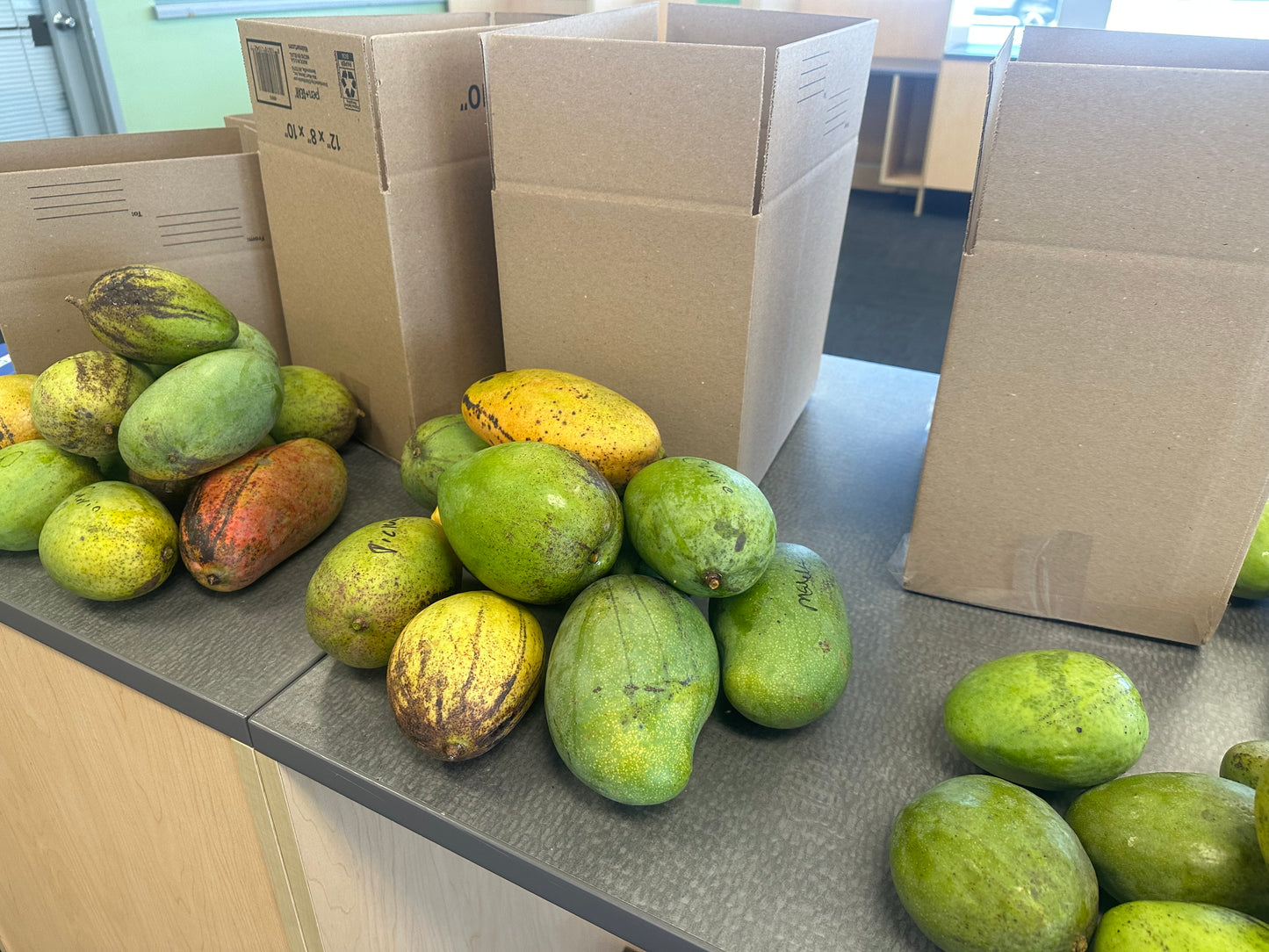 Mixed Variety Mango box