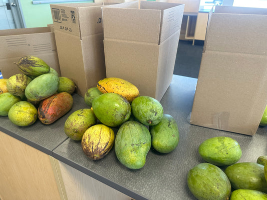 Mixed Variety Mango box