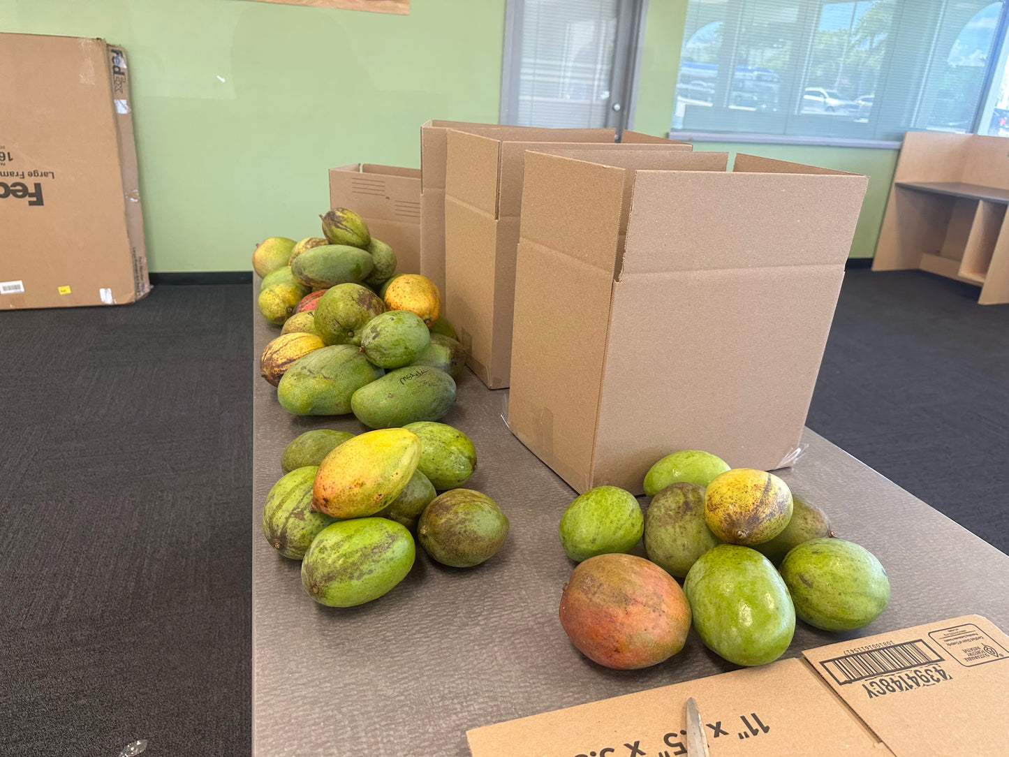 Mixed Variety Mango box