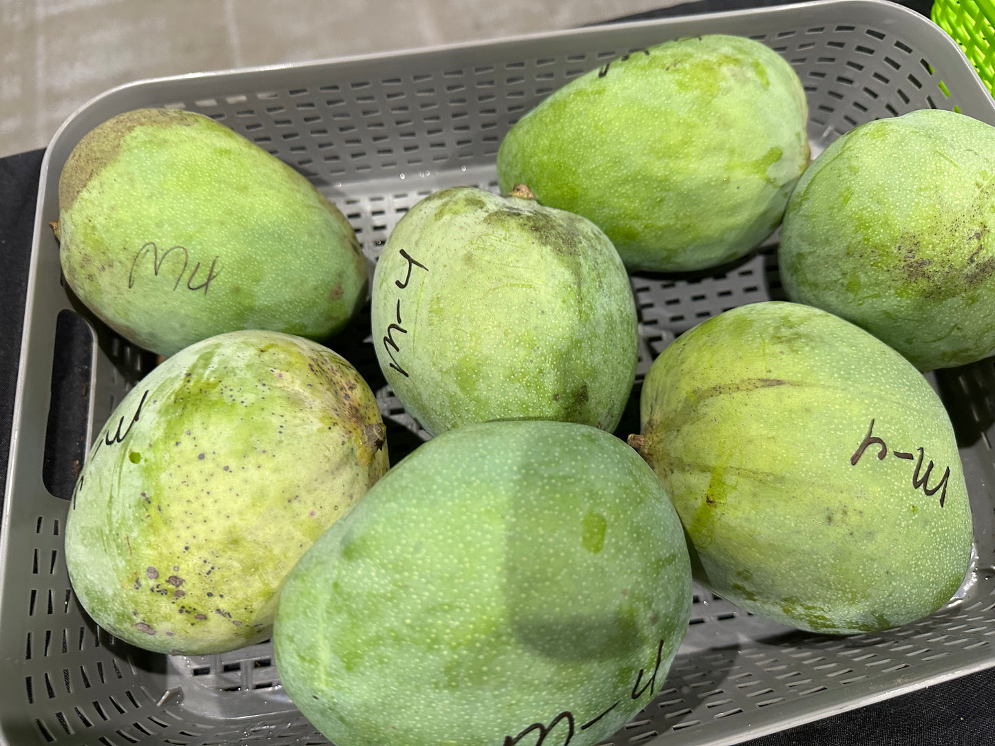 M-4 mango box (fruit) (Pre order)