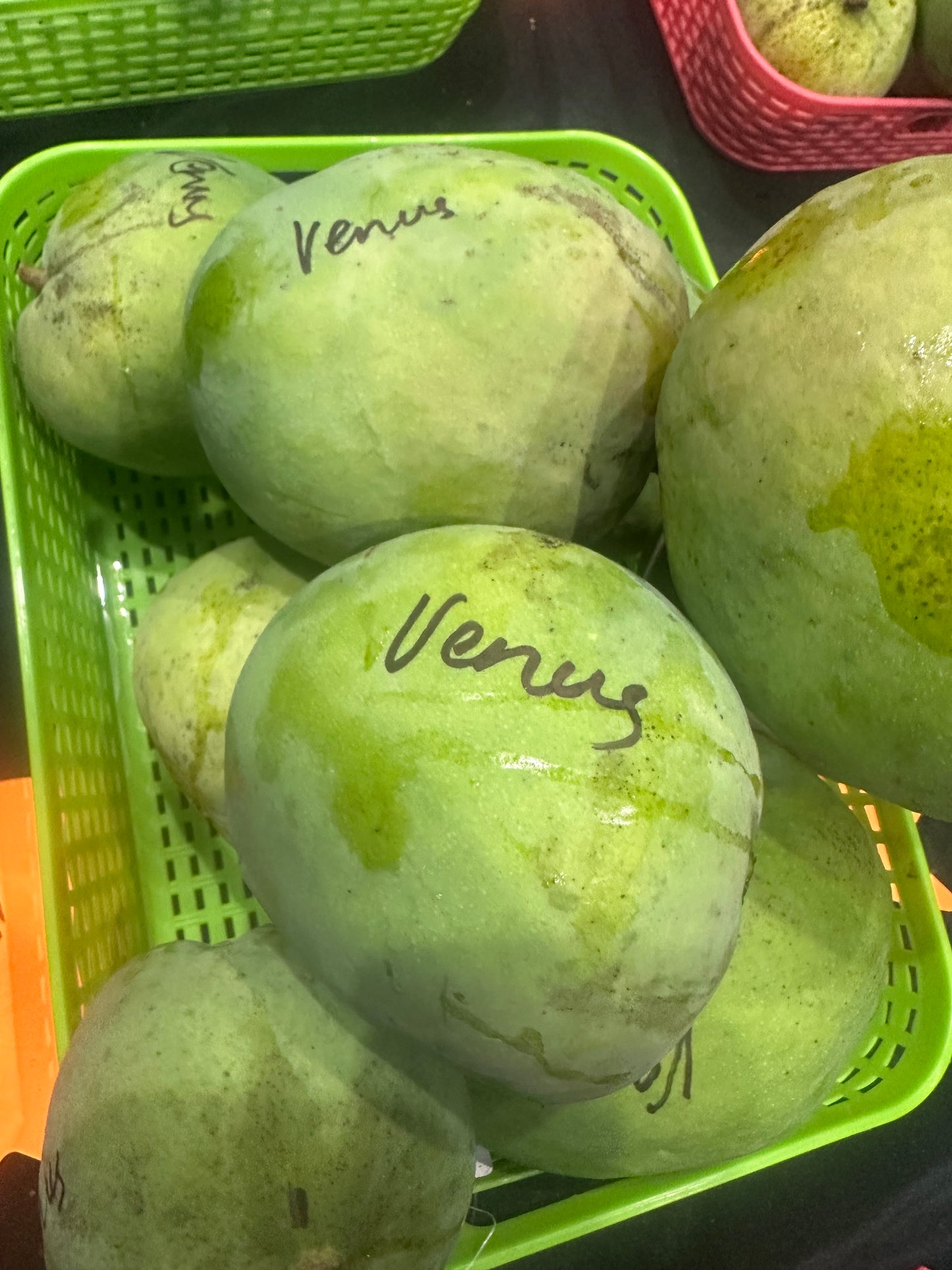Venus mango box (fruit)