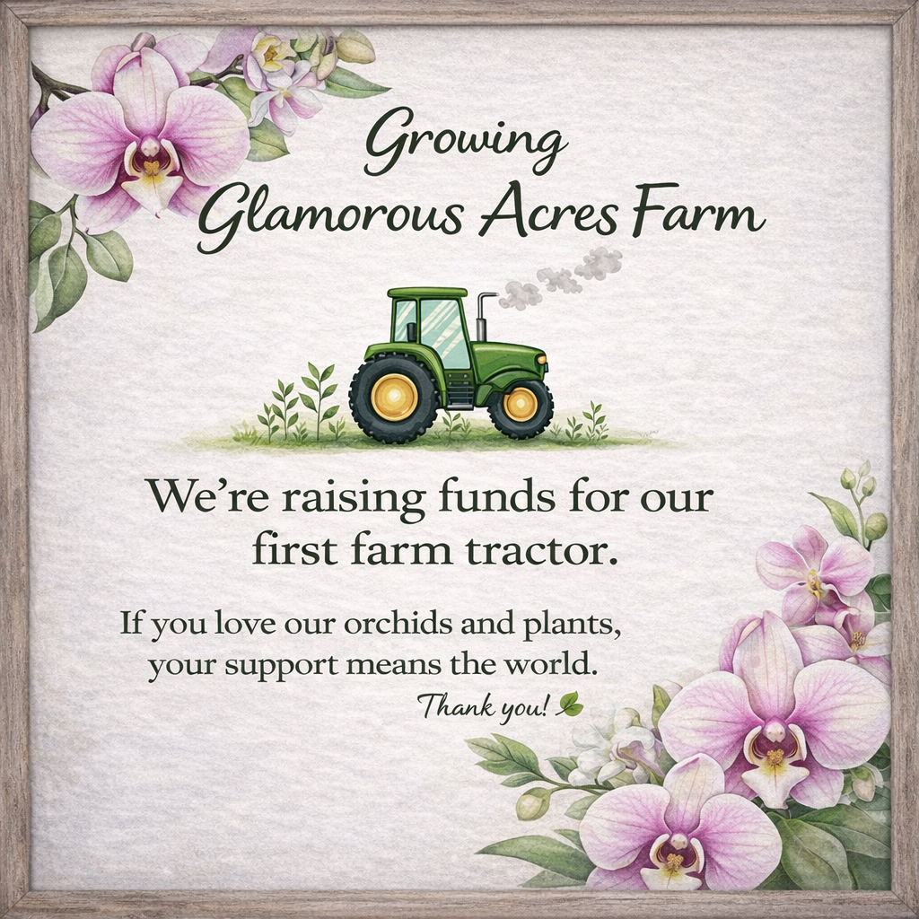 🚜 Support the Glamorous Acres Farm Tractor Fund