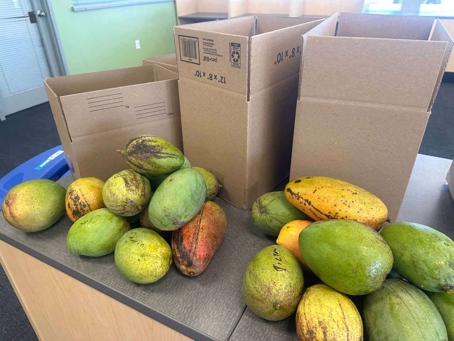 Mixed Variety Mango box