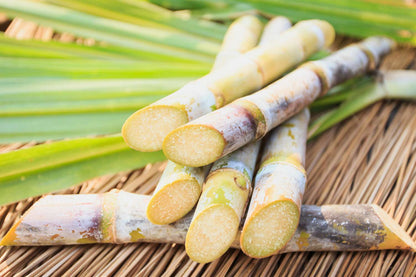 15 pounds sugar cane bundle