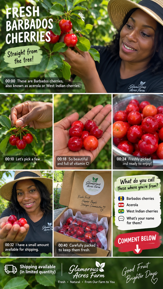 Barbados Cherry fruit box