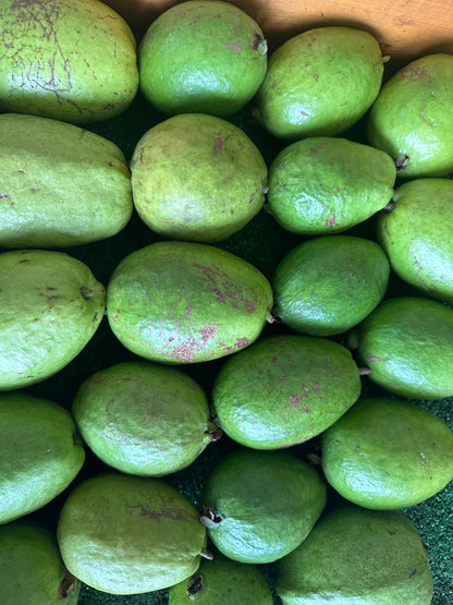 3 pounds of delicious pink guavas