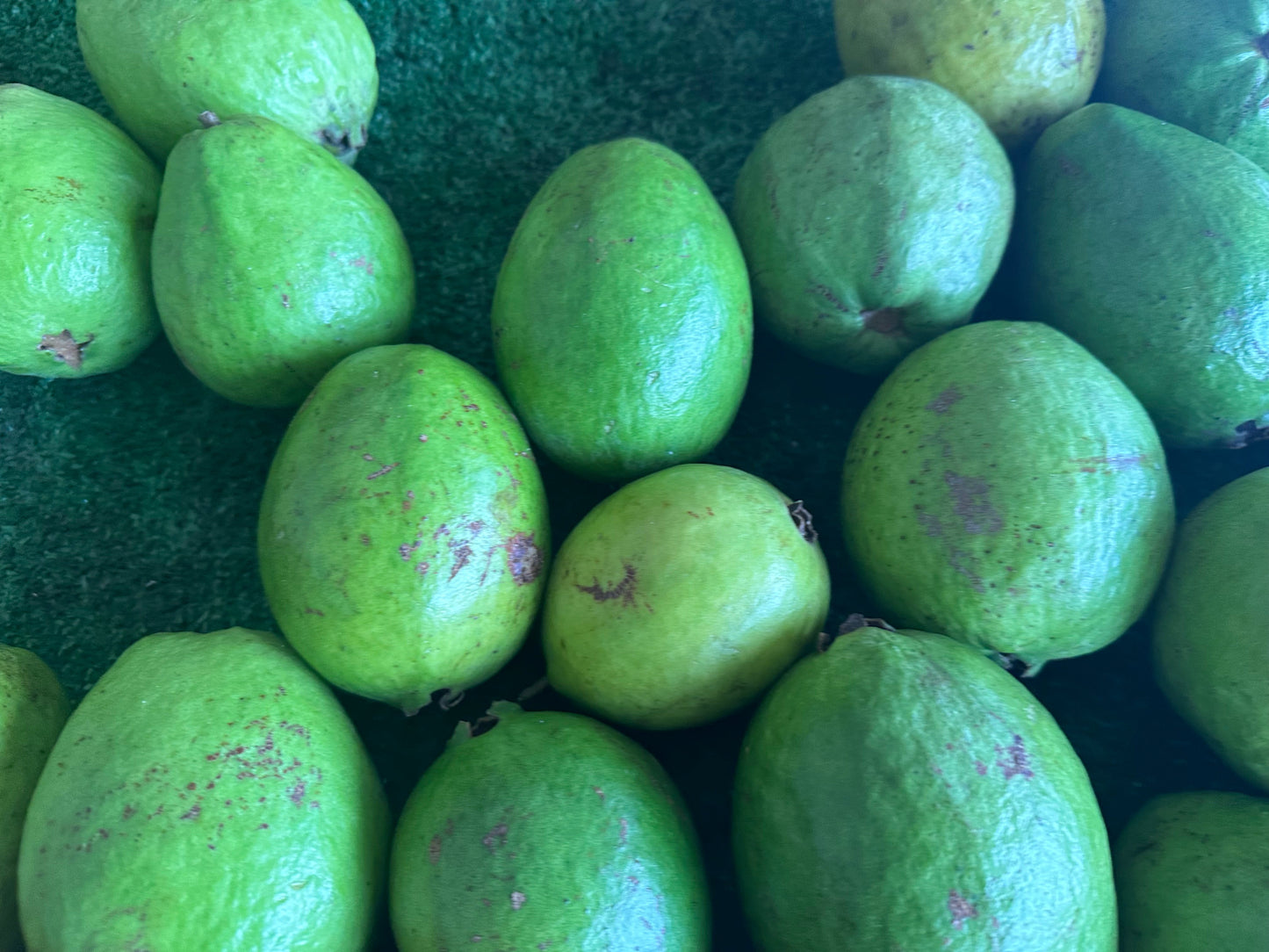 3 pounds of delicious pink guavas