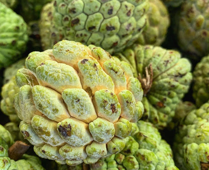 Sugar apple