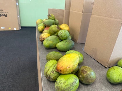 Mixed Variety Mango box