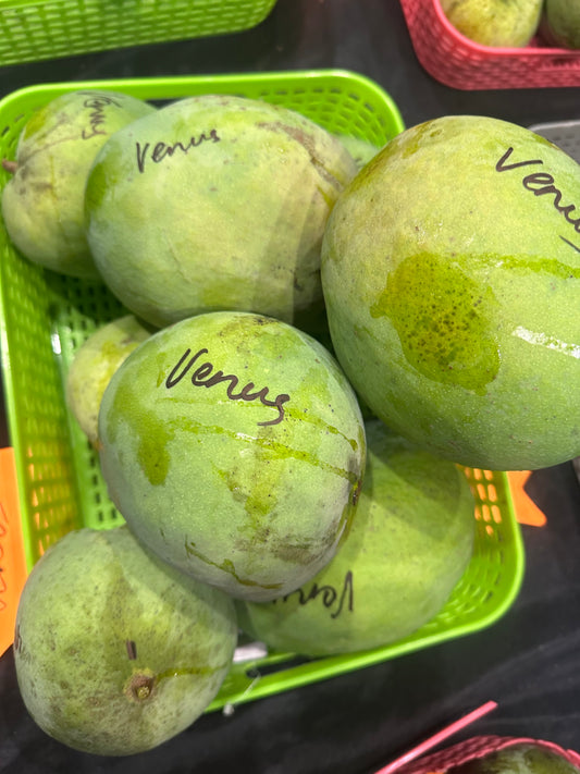 Venus mango box (fruit)