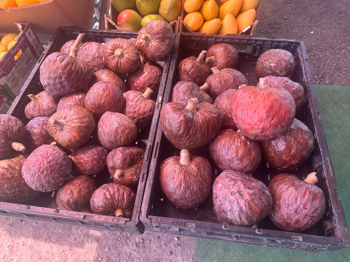 3 pounds atemoya/custard apple