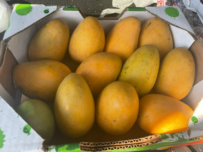 Mingolo Mango