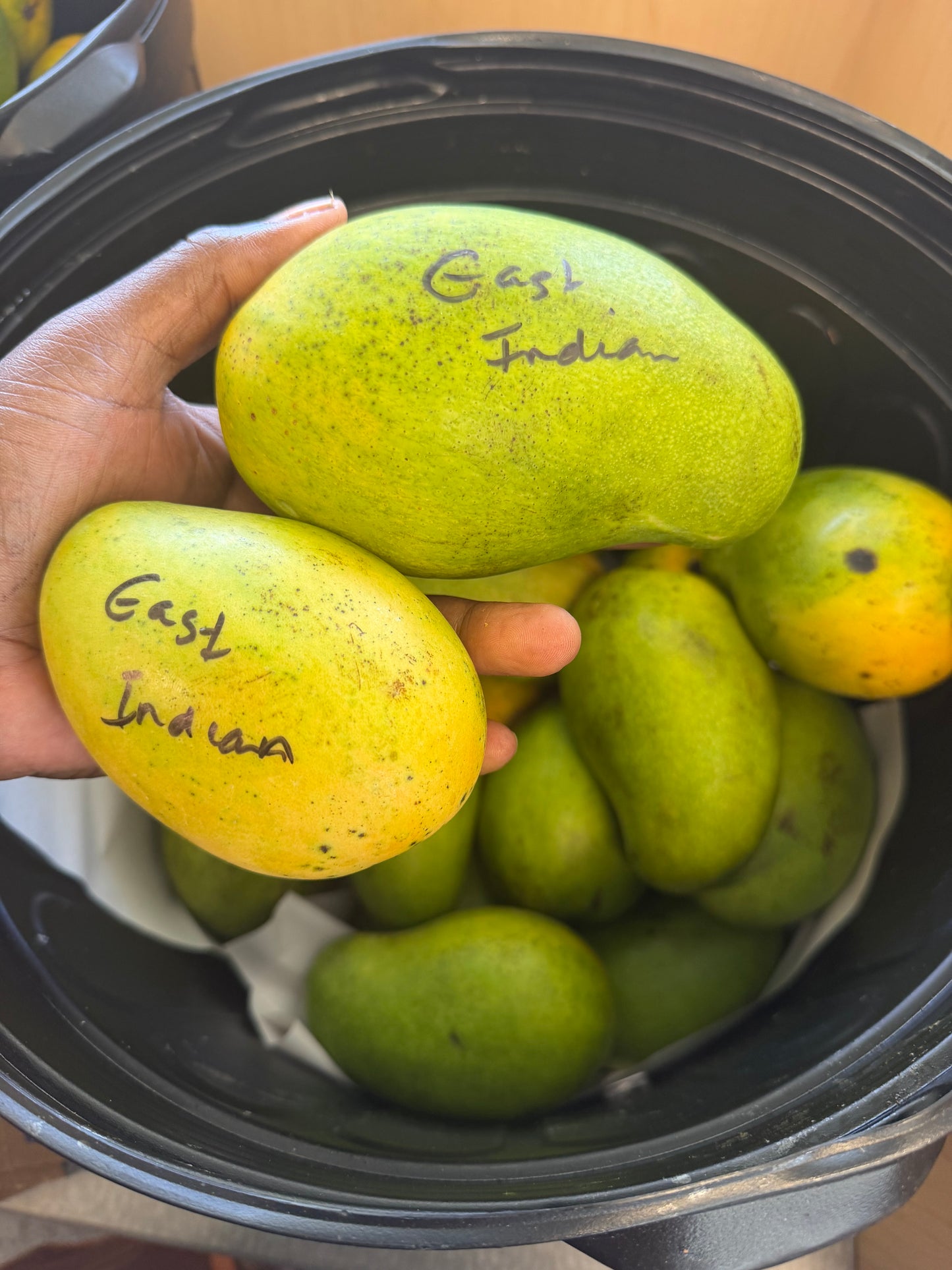 East Indian mango now shipping