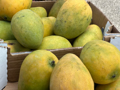 Mingolo mangoes