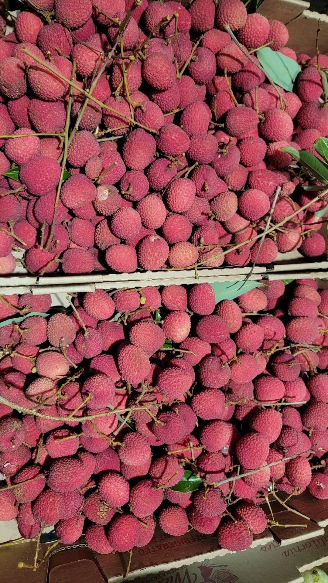 3 pounds lychee fruit