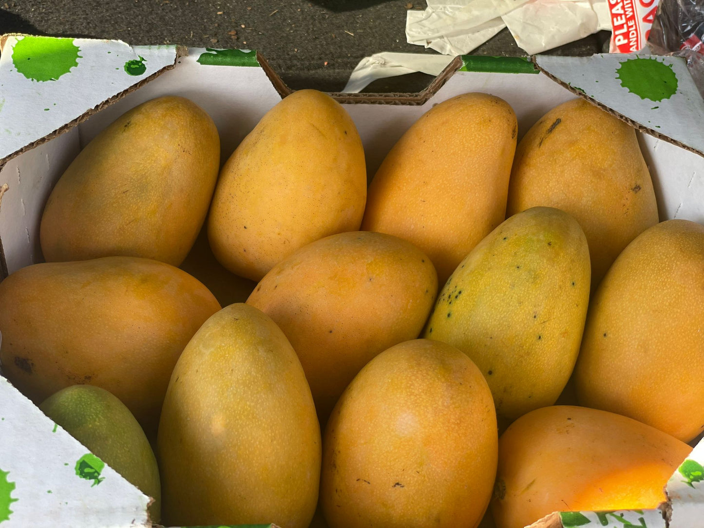 Mingolo Mango