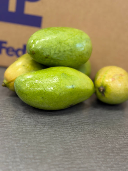 Mango corne Haitian variety