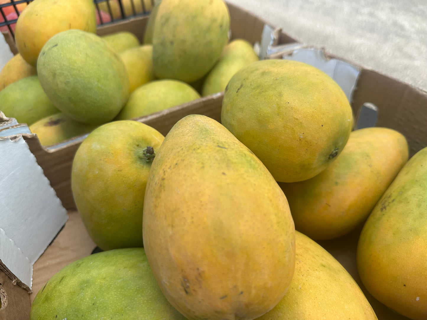 Mingolo mangoes