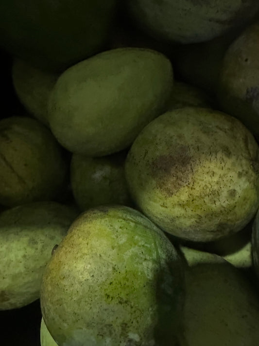 Gary  mango box (fruit)