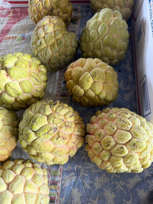 Fresh Sugar Apple (Sweetsop) | Custard Apple | Atis | Sitaphal | Na PRE ORDER 2027
