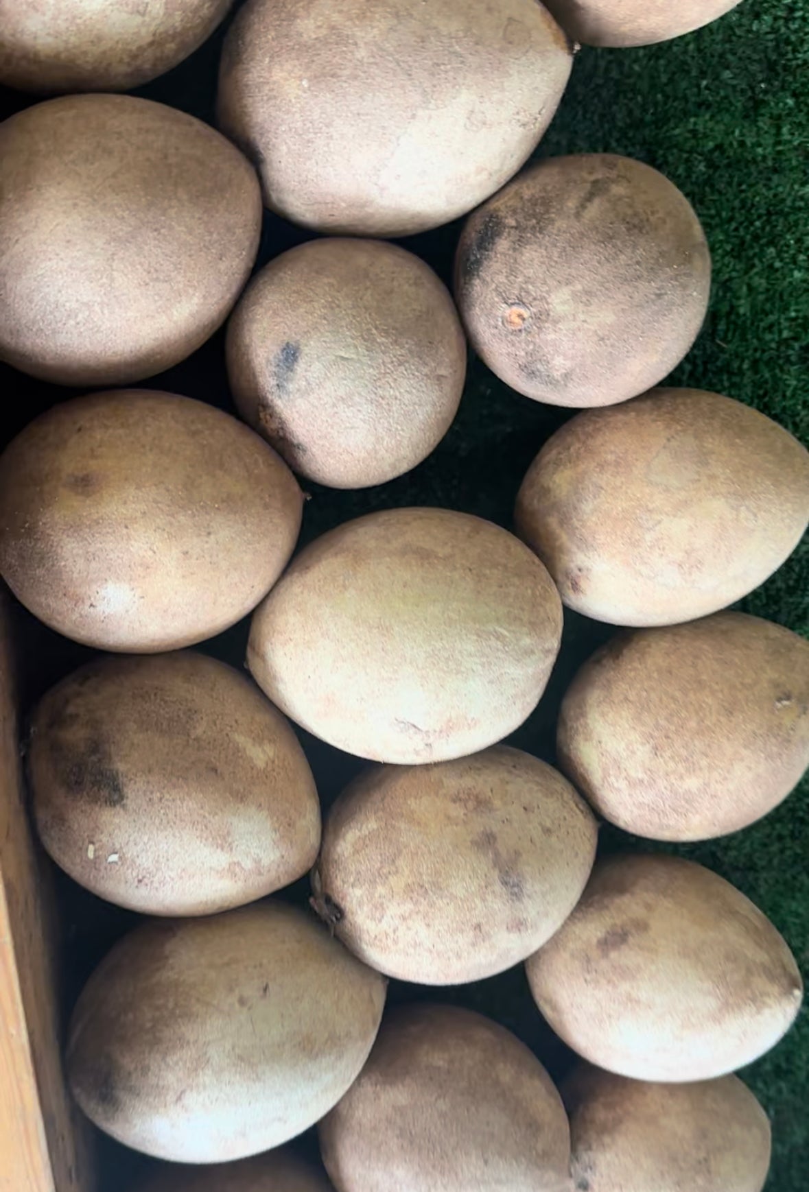 3 pounds Sapodilla box