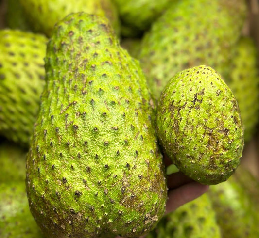 Sour sop