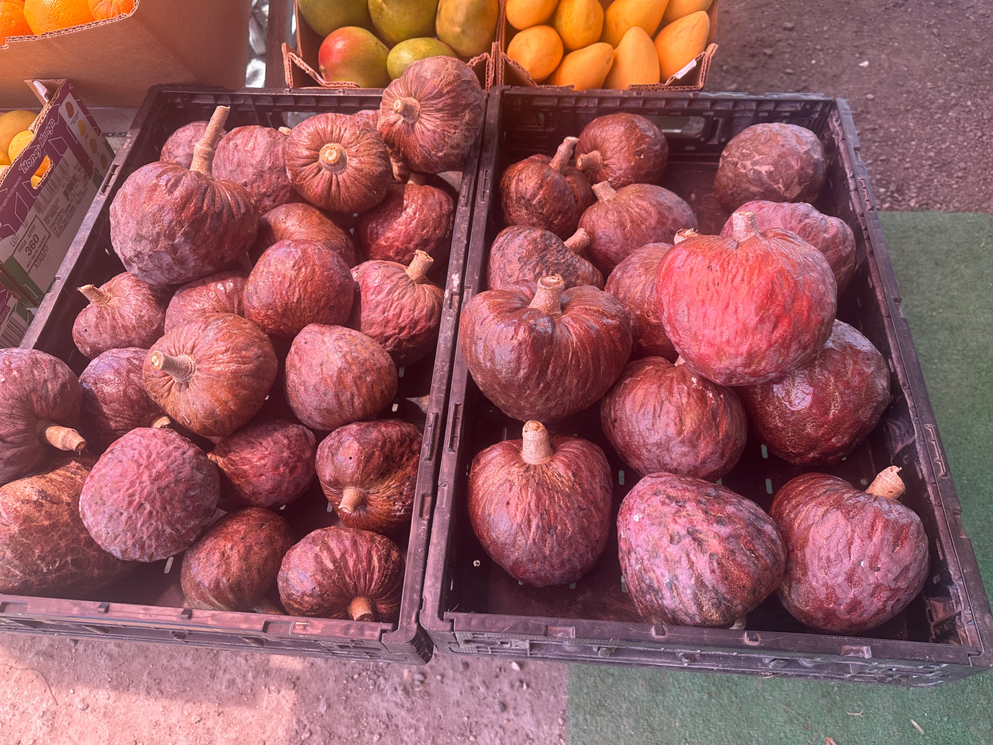 3 pounds atemoya/custard apple