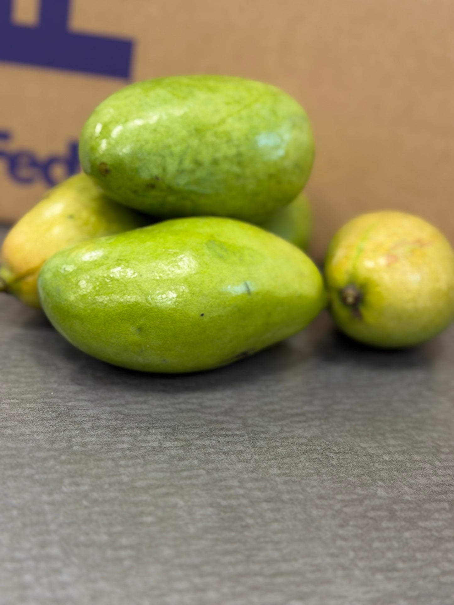 Mango corne Haitian variety