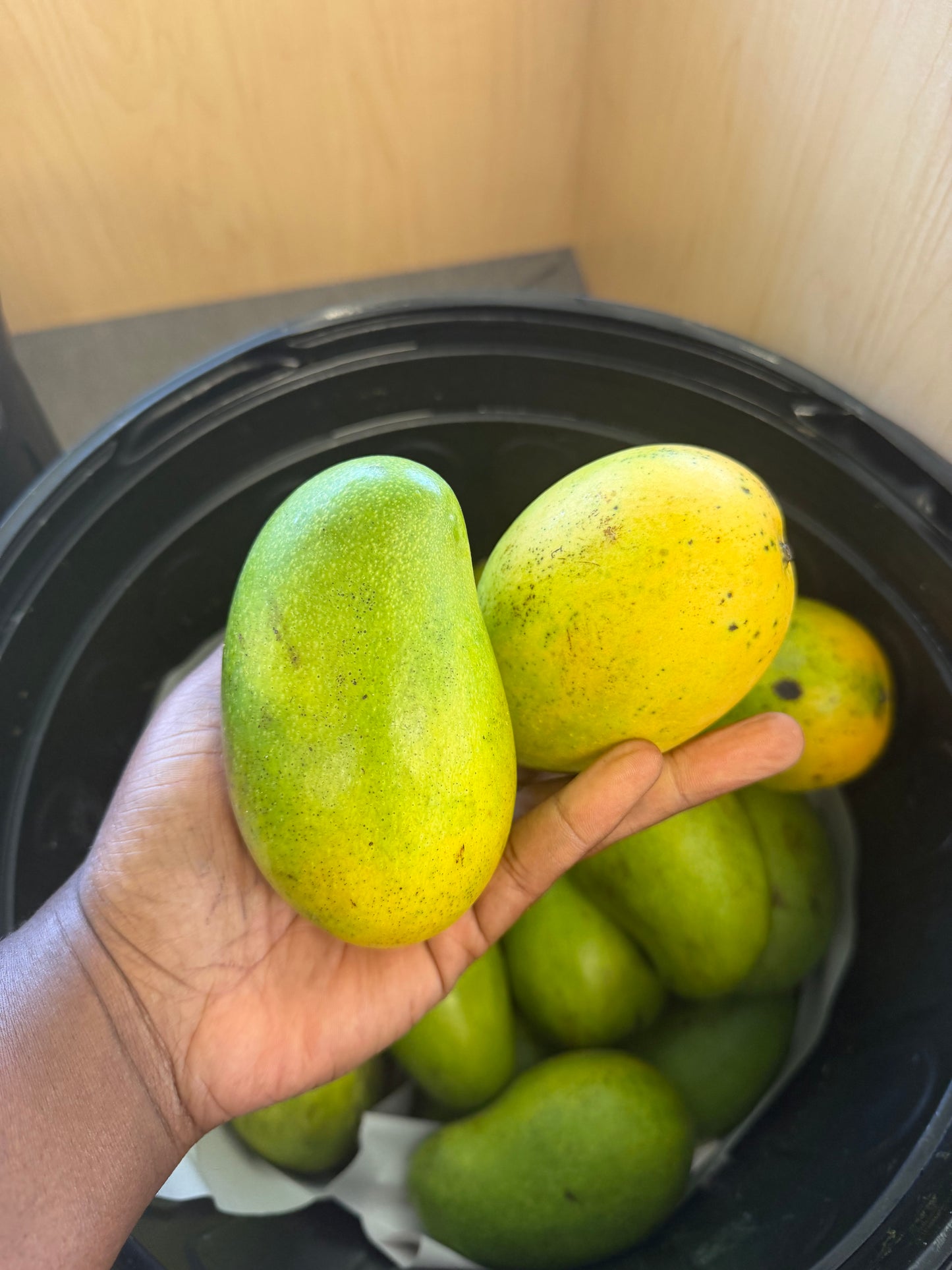 East Indian mango now shipping