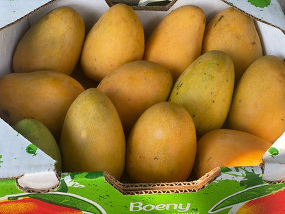 Mingolo Mango