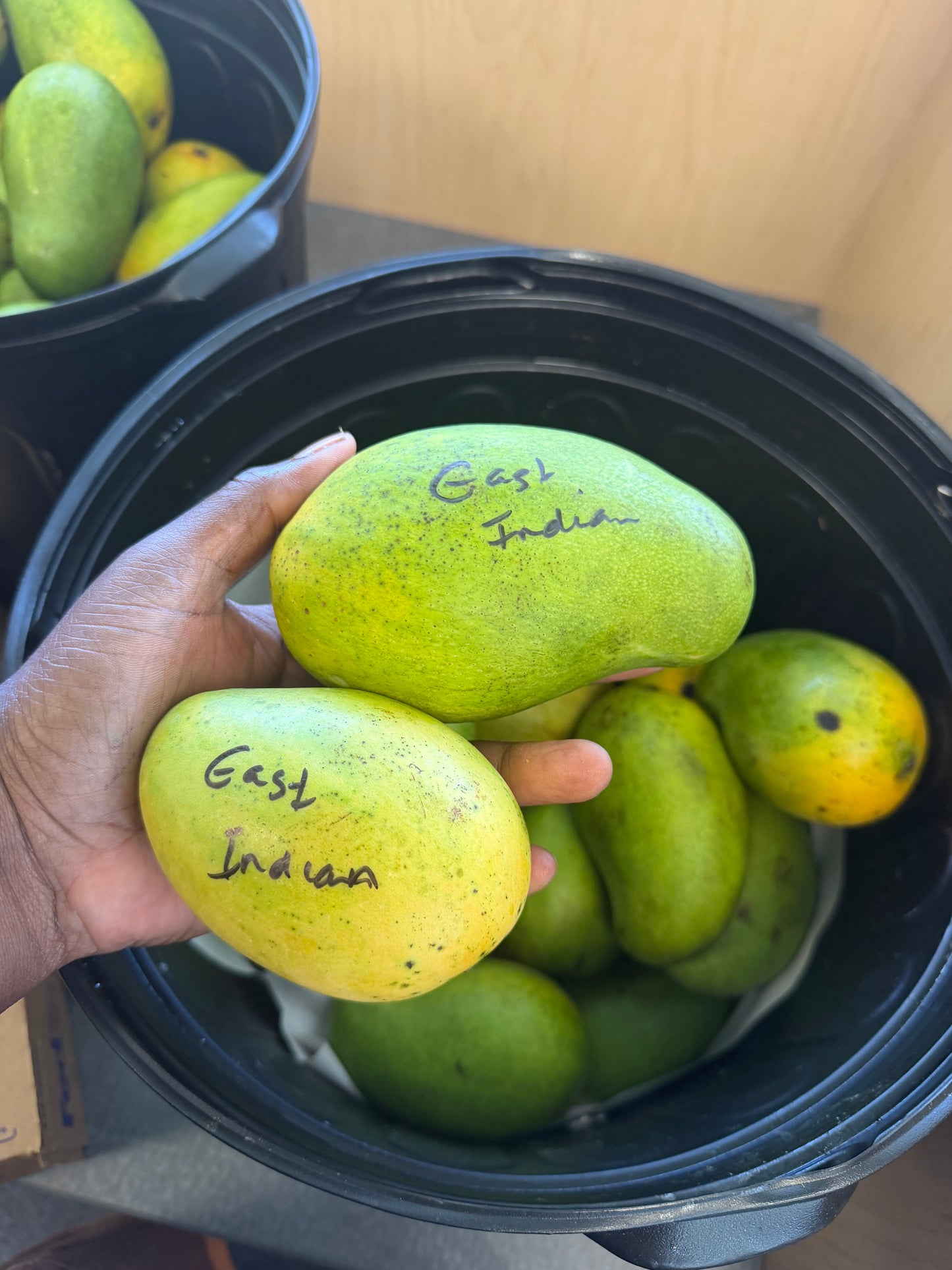 East Indian mango now shipping