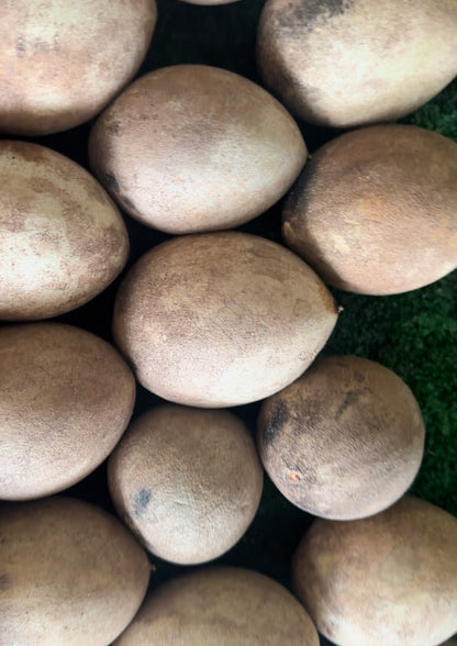 3 pounds Sapodilla box