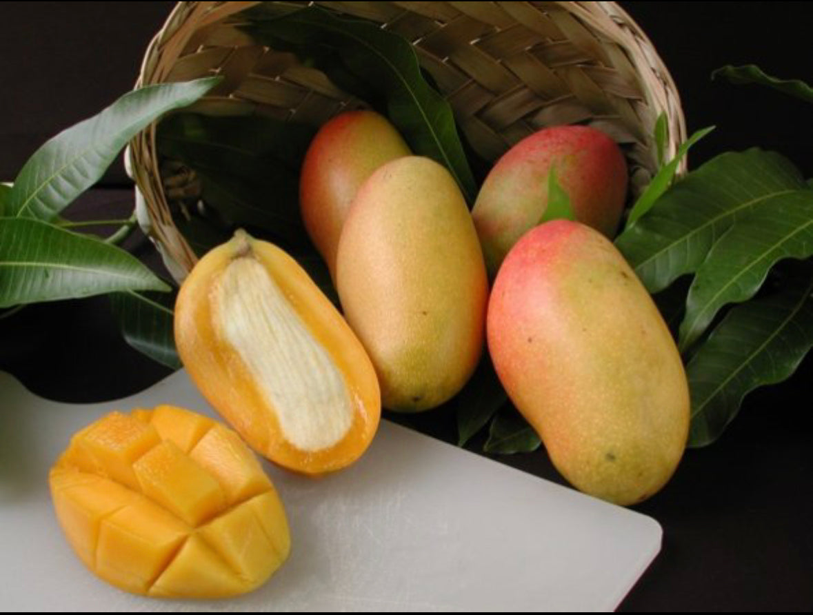 Valencia Pride Mango box