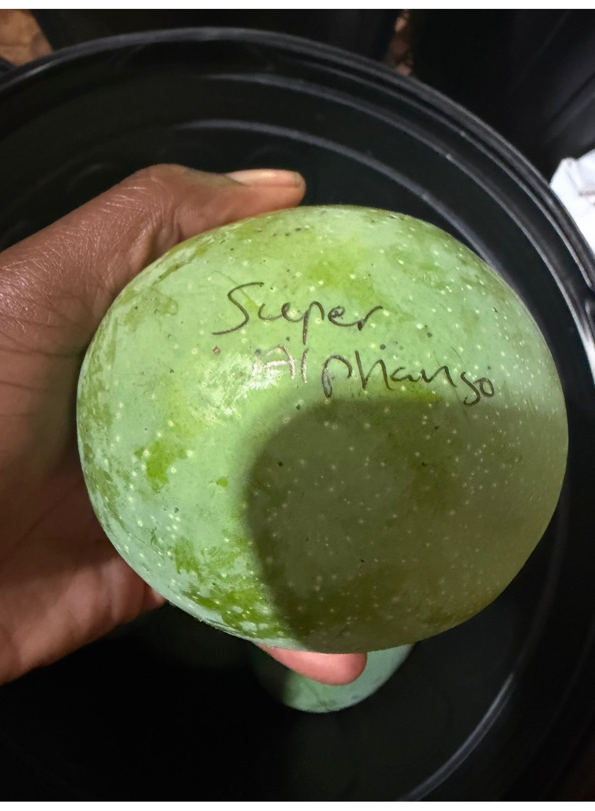 Super Alphonso