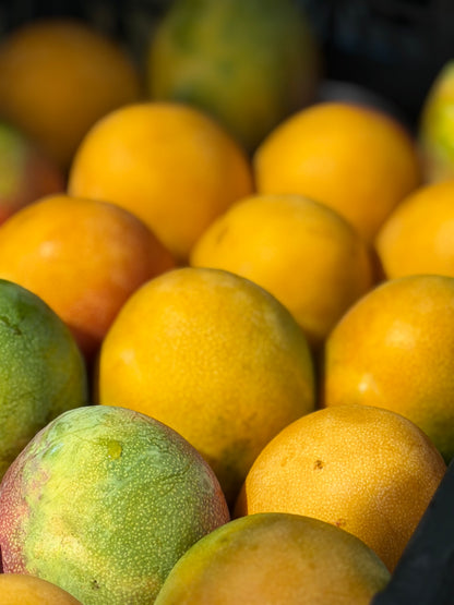 Haden  Mango box