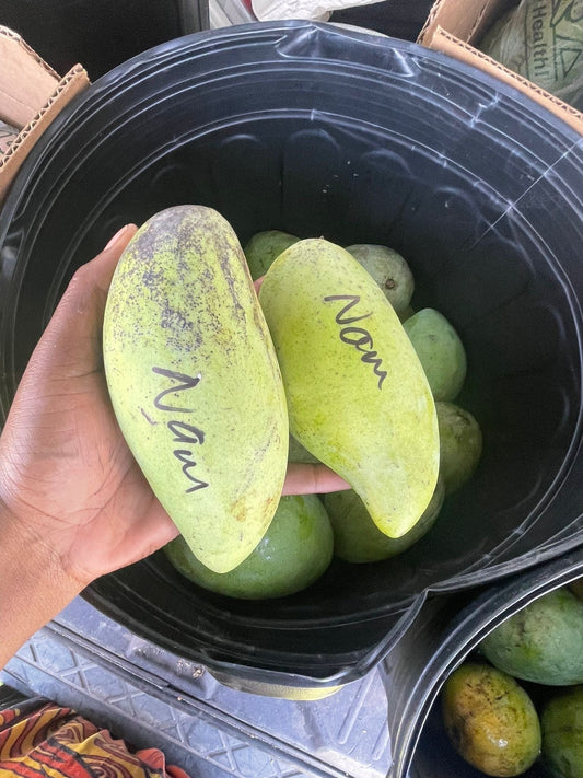 Maha Chanok  MANGOES ✨🥭 box