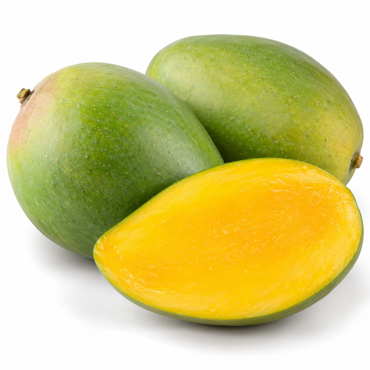 Keitt mango tree