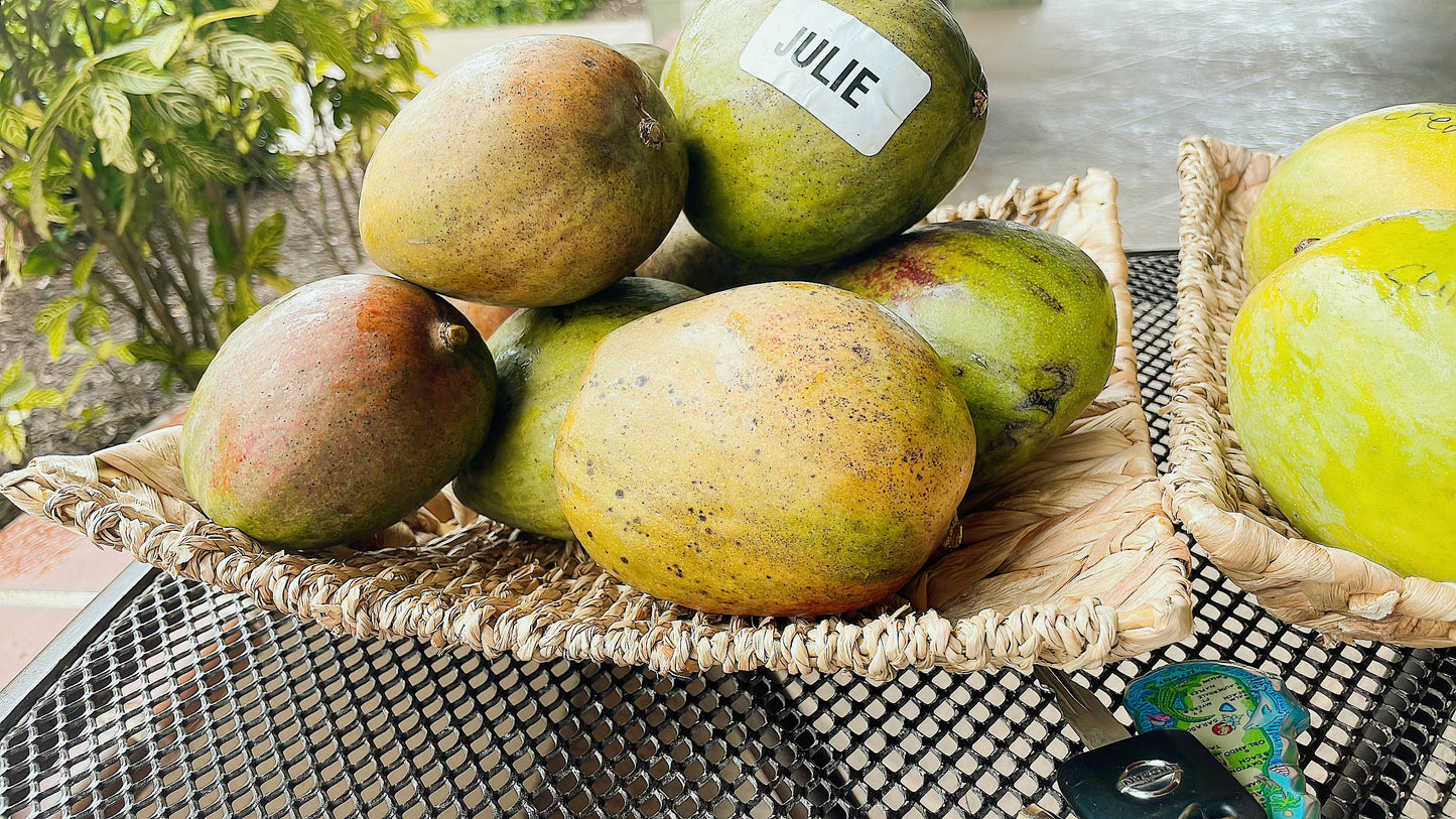 Julie Mango box pick up