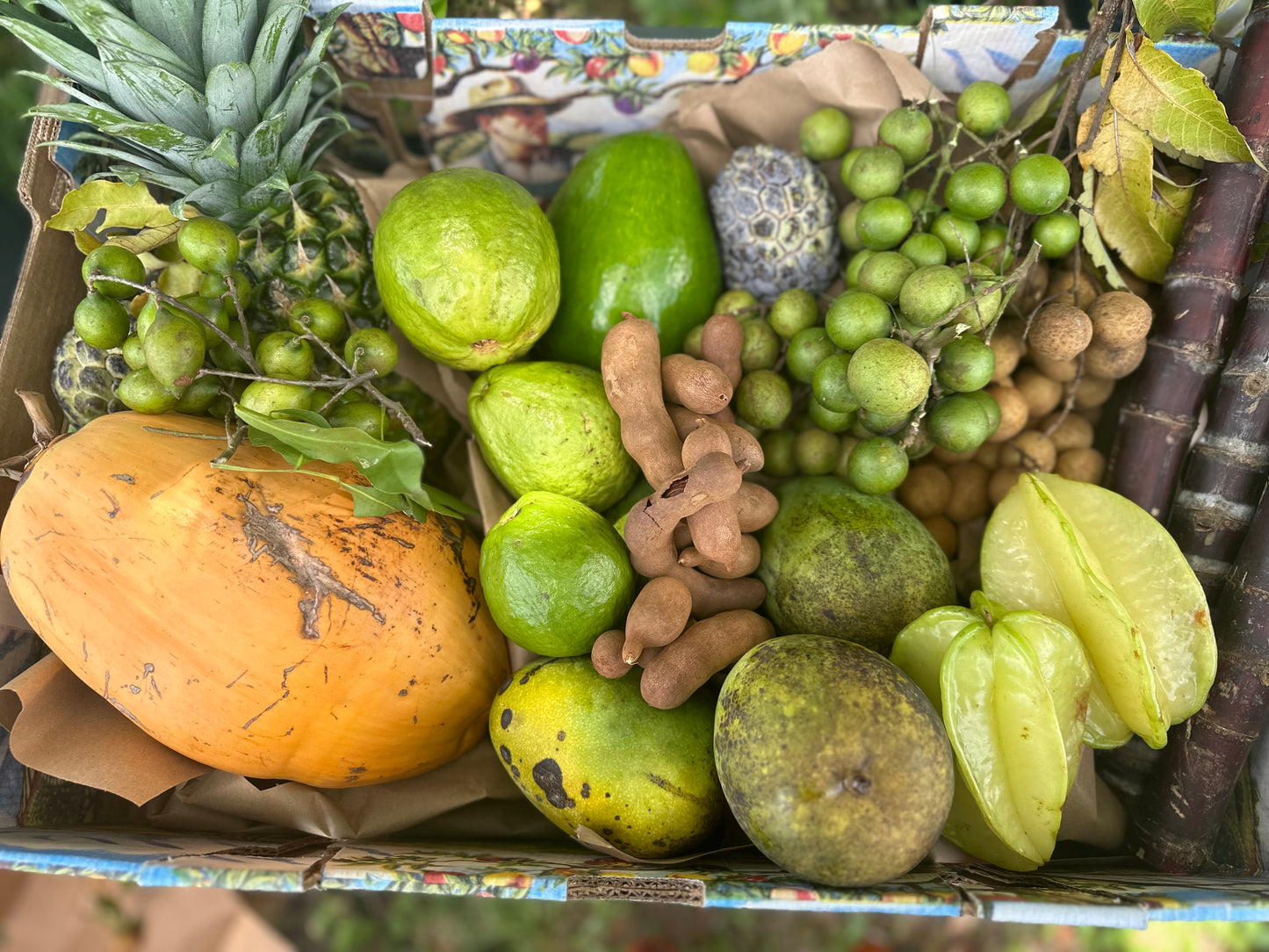 Caribbean girl Mixed tropical fruit box