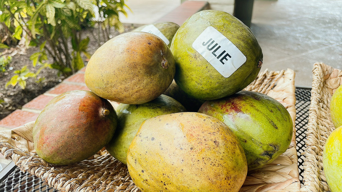 Julie Mango box pick up