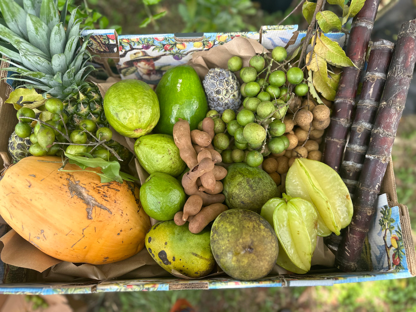 Caribbean girl Mixed tropical fruit box