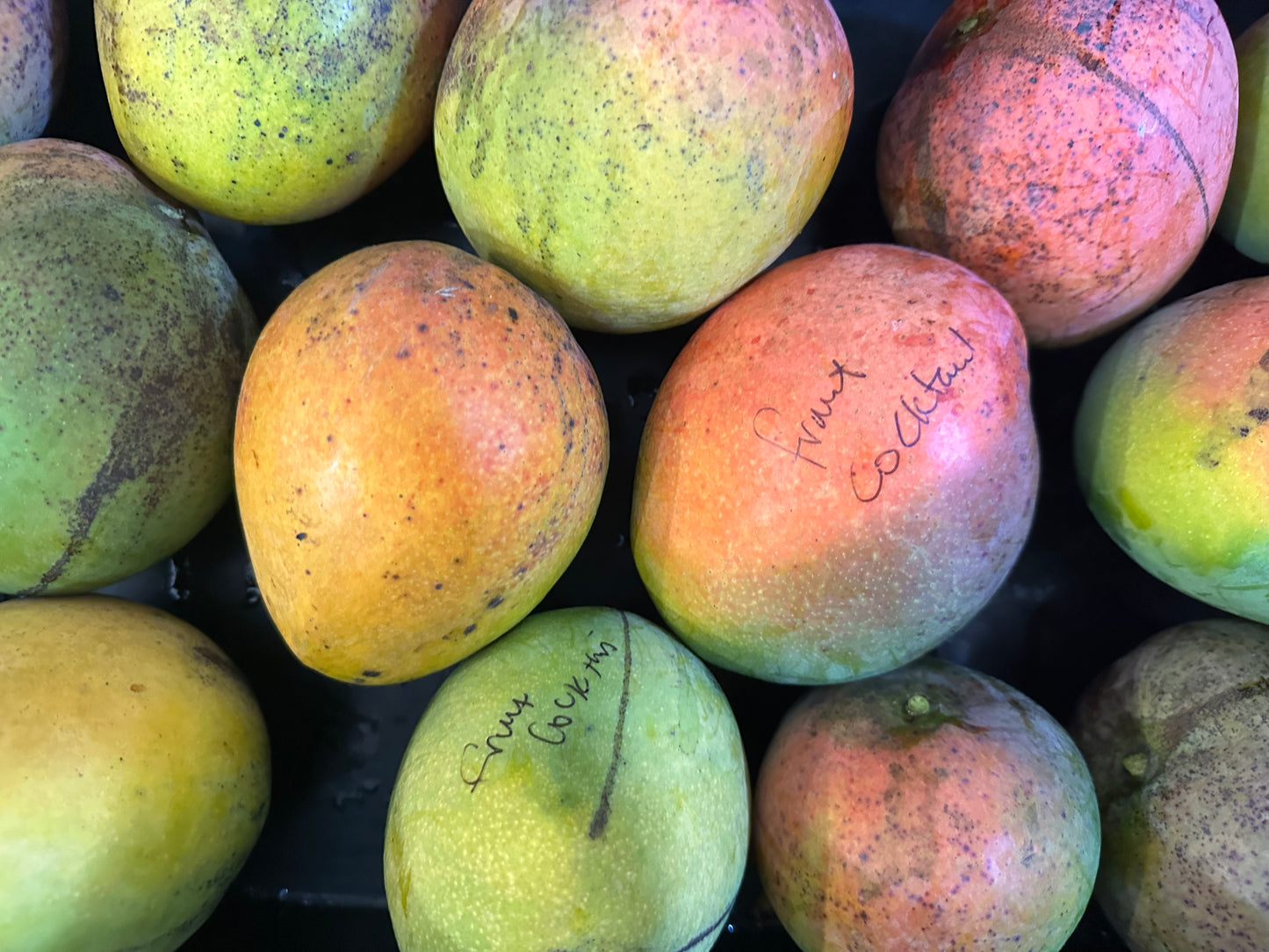 Fruit Cocktail Mango box