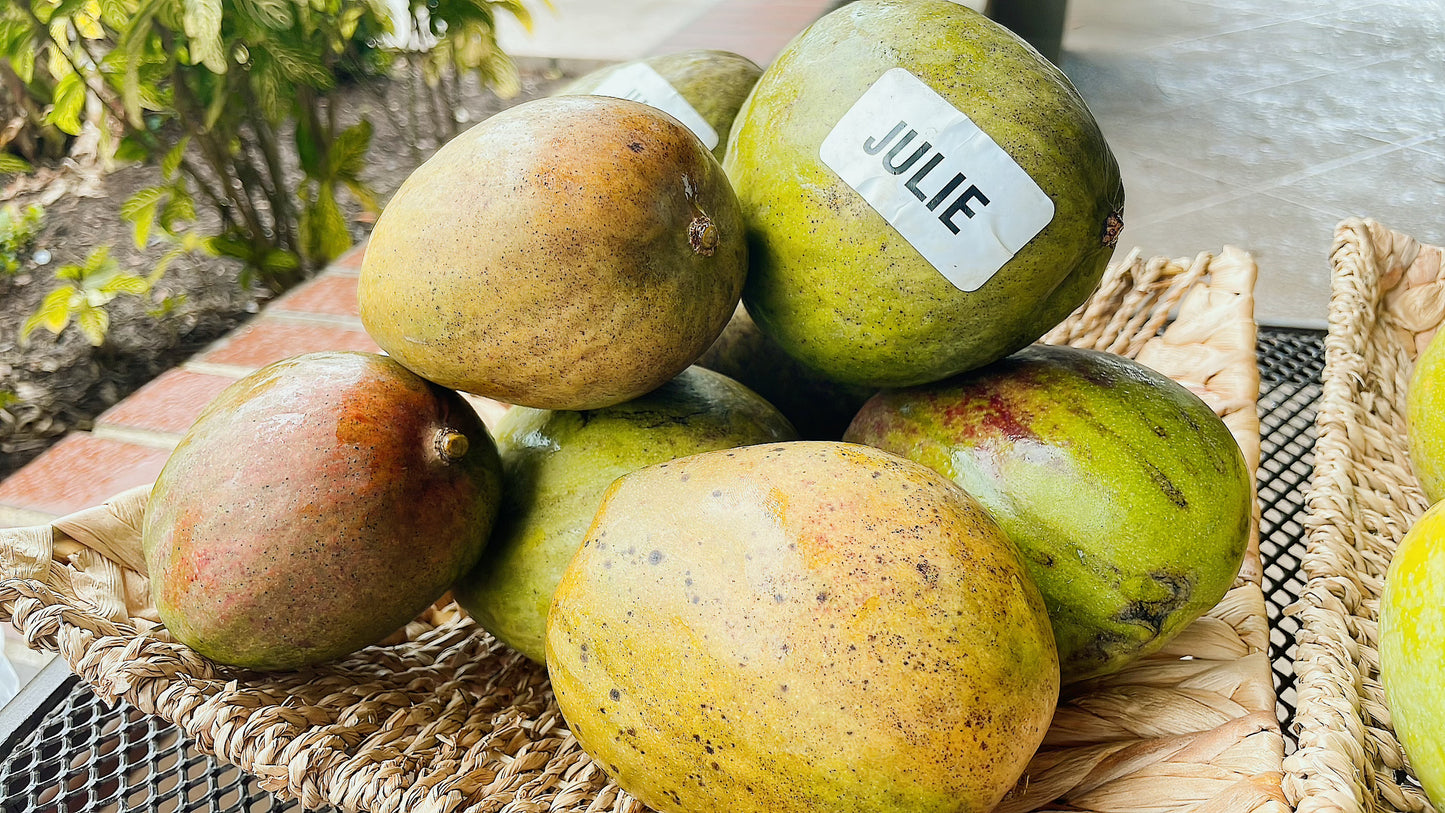Julie Mango box pick up