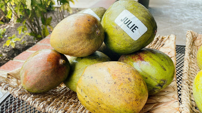 Julie Mango box pick up