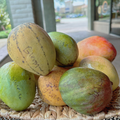 Glenn Mango box
