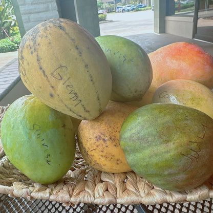 Glenn Mango box