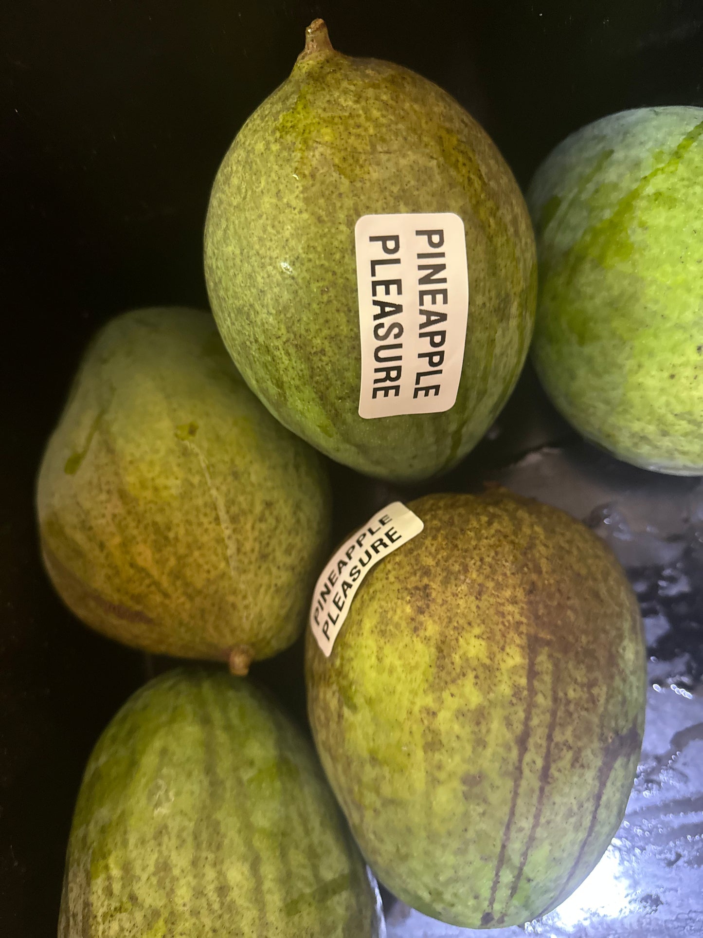 Pineapple pleasure Mango box