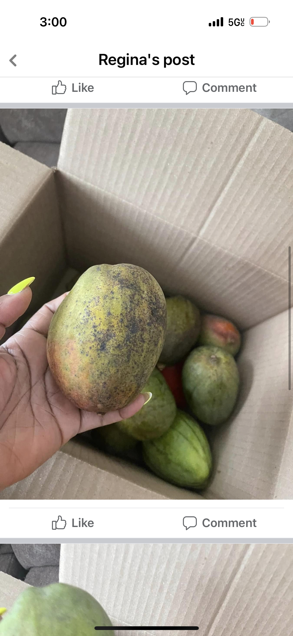 Caribbean girl Mixed tropical fruit box