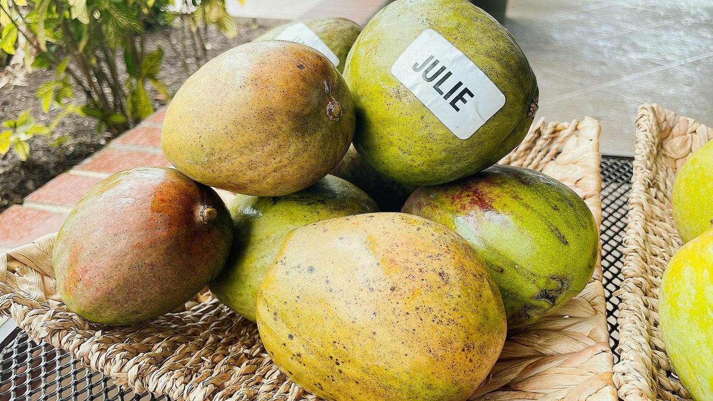 Julie Mango box pick up