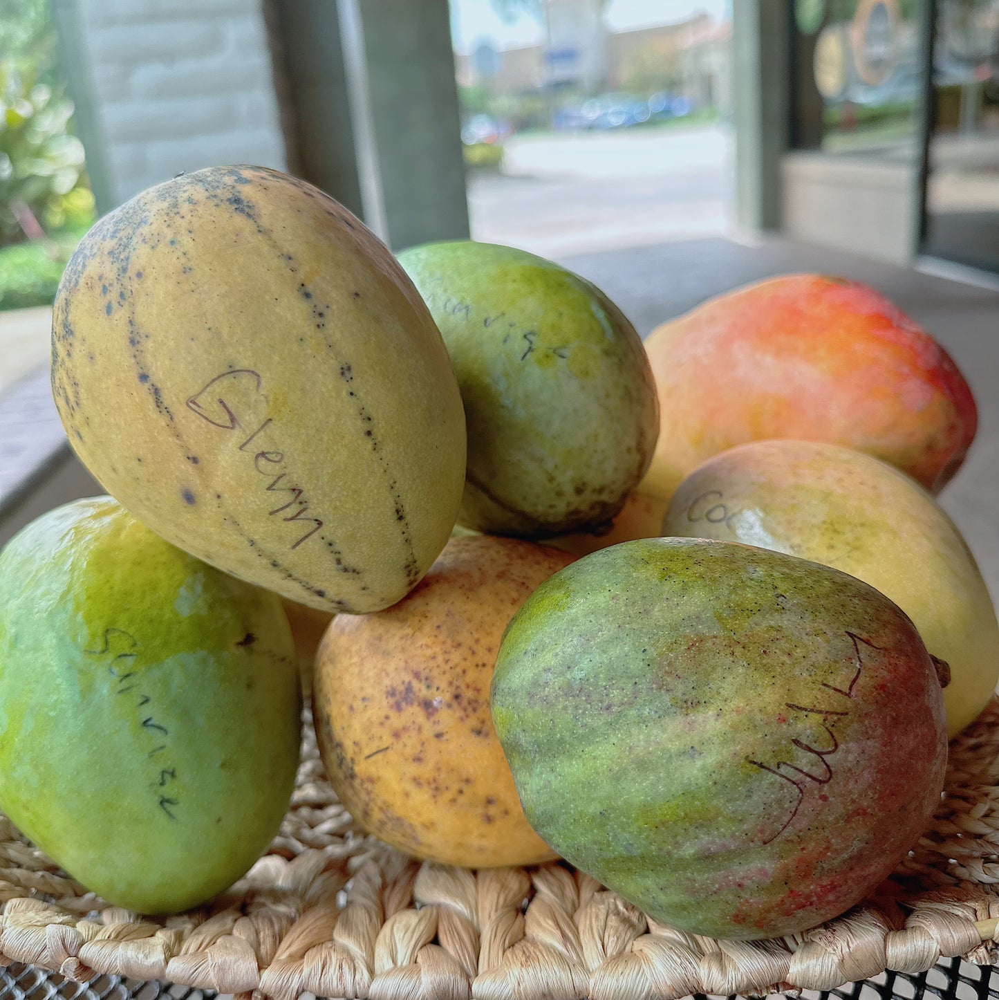 Glenn Mango box